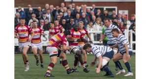 Preston Grasshoppers Rugby Football Club Limited logo