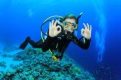 Sub Aqua Association