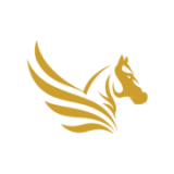 Pegasus Storage Solutions Limited