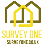 Survey One