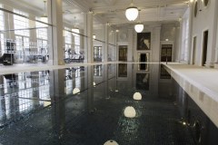 Penguin Swimming Pools