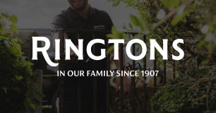 Ringtons Limited