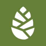 Pinelog Limited