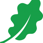 Oakridge Timber Limited logo