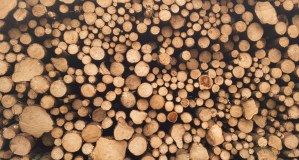 Quay Timber logo