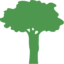 Timber Specialists Limited