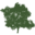 Paradise Group Limited
