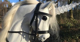 Rocking Horse Works