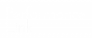 Performance Link