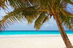Preference Travel Limited