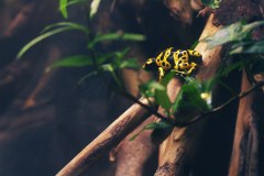 Reef & Rainforest Tours Limited