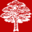 Treework (Tunbridge Wells) Limited