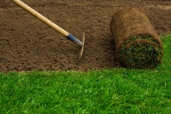 Ransley Turf