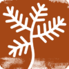Tamarisk Designs
