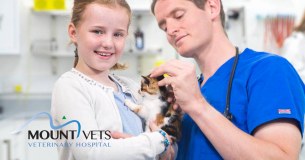 The Mount Veterinary Hospital