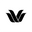 Wacoal