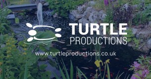 Turtle Productions