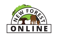 New Forest Online