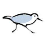 Sanderling Internet