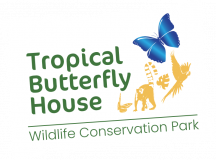 Tropical Butterfly House