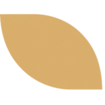 Ritchie Products Limited