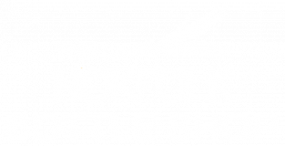 The Real Ale Shop