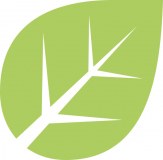 Treatex Limited