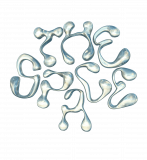 The Space