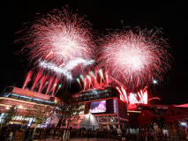 Phoenix Fireworks Limited