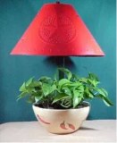 Plant-a-lamp Limited