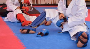 Quality Martial Arts logo