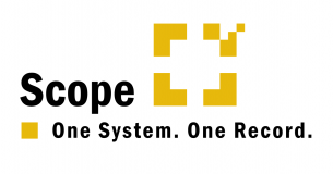 Riege Software International Limited logo