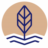 Riverside Vineyard Church logo