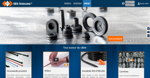 S E S Sterling Limited