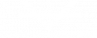 Scientific Vacuum Systems logo