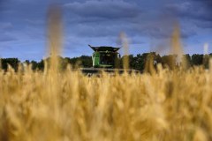 Scotgrain Agriculture