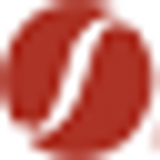 Services Limited logo