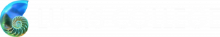 Shirley Odonaghue logo