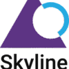 Skyline Project Services Limited logo