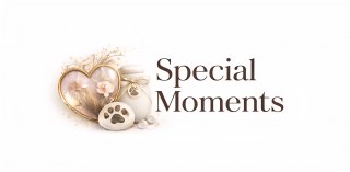 Special Moments Lingerie