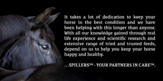 Spillers Speciality Feeds Limited logo