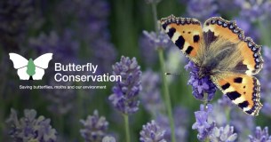 Butterfly Conservation (West Midlands) logo