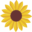 Sunflower Books