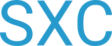 Sx Consultancy logo
