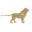 Syon Park Limited