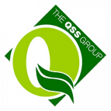 The Qss Group logo