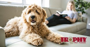 Trophy Pet Supplies logo
