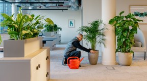 Urban Planters Limited