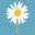 Daisys Dream'