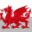 St Davids Estate Agents'